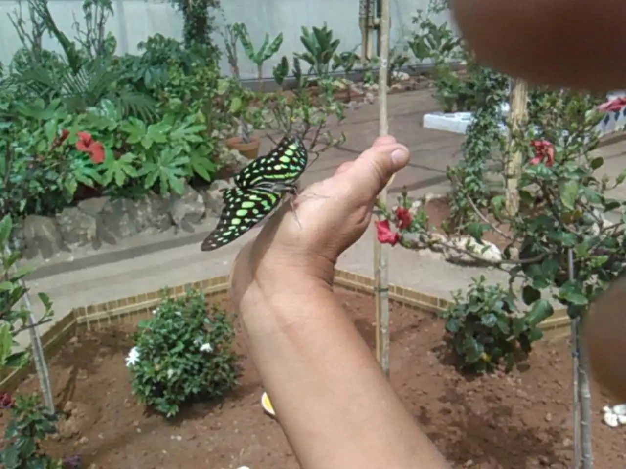 Xalet amb jardí en venda a Níjar pueblo, imagen 16