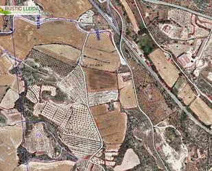 Land for sale in La Floresta