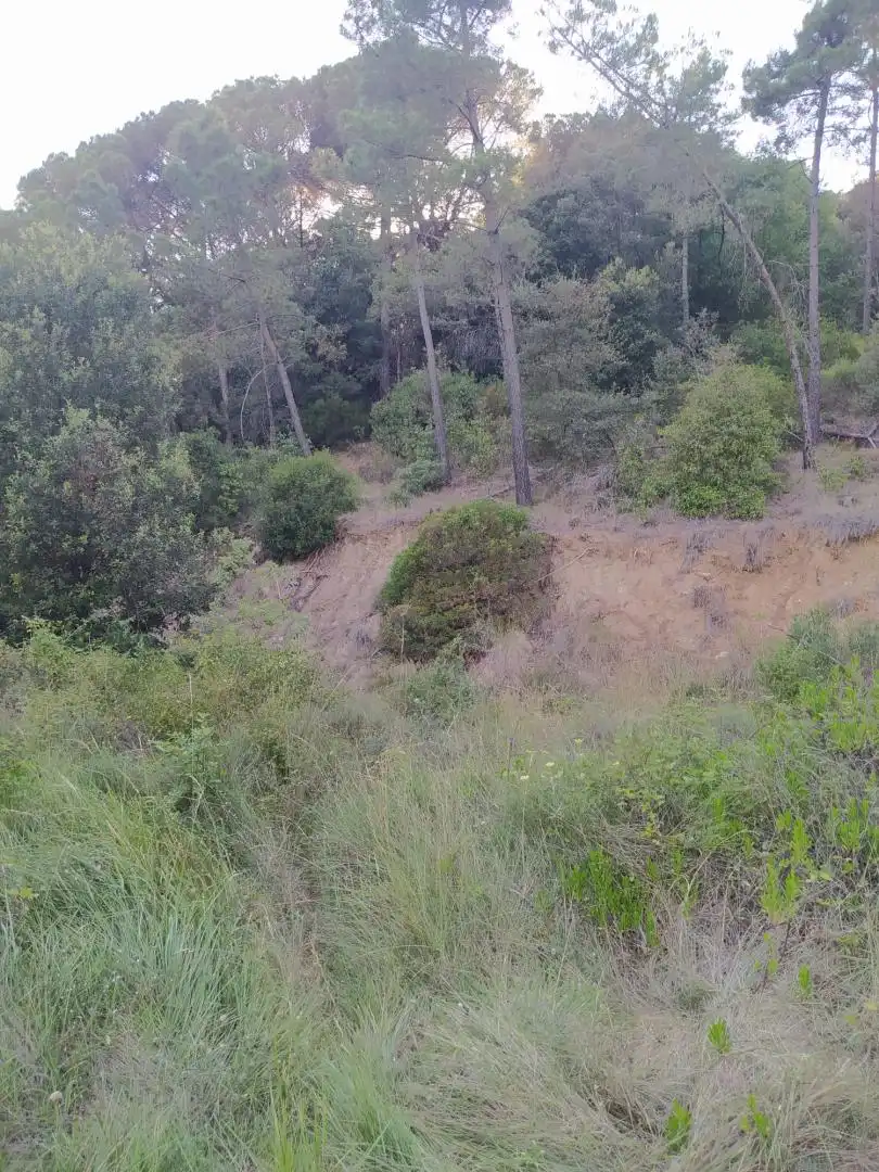 Finca rústica en venta en Riells i Viabrea