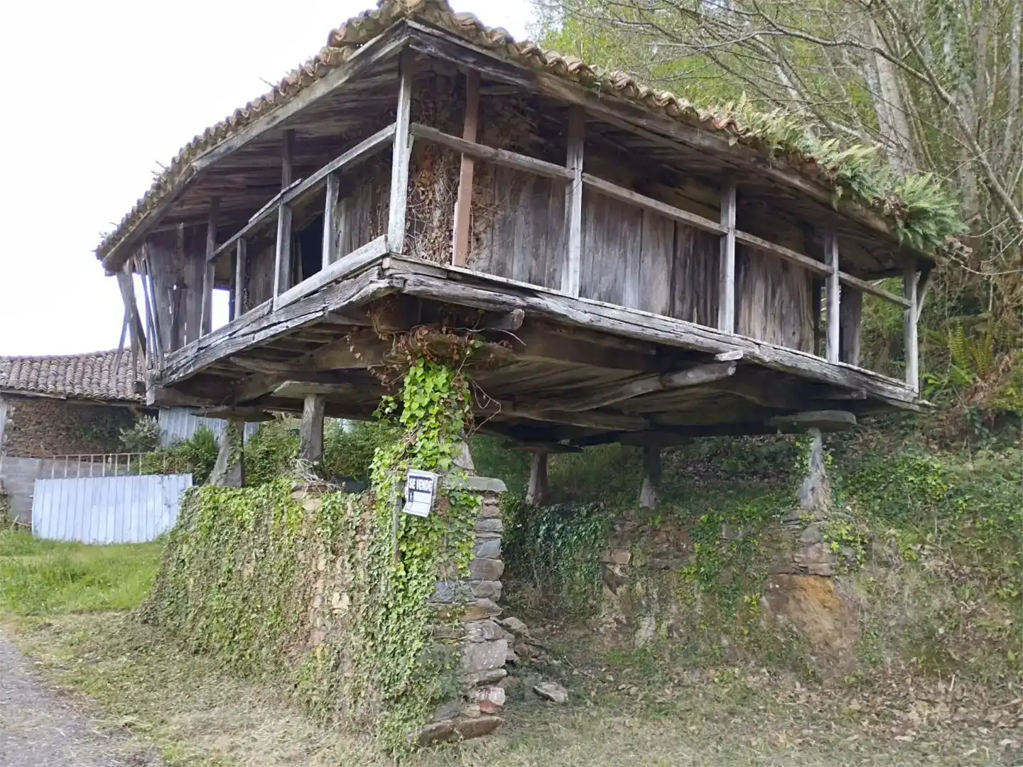 Vista exterior de Piso en venta en Cudillero