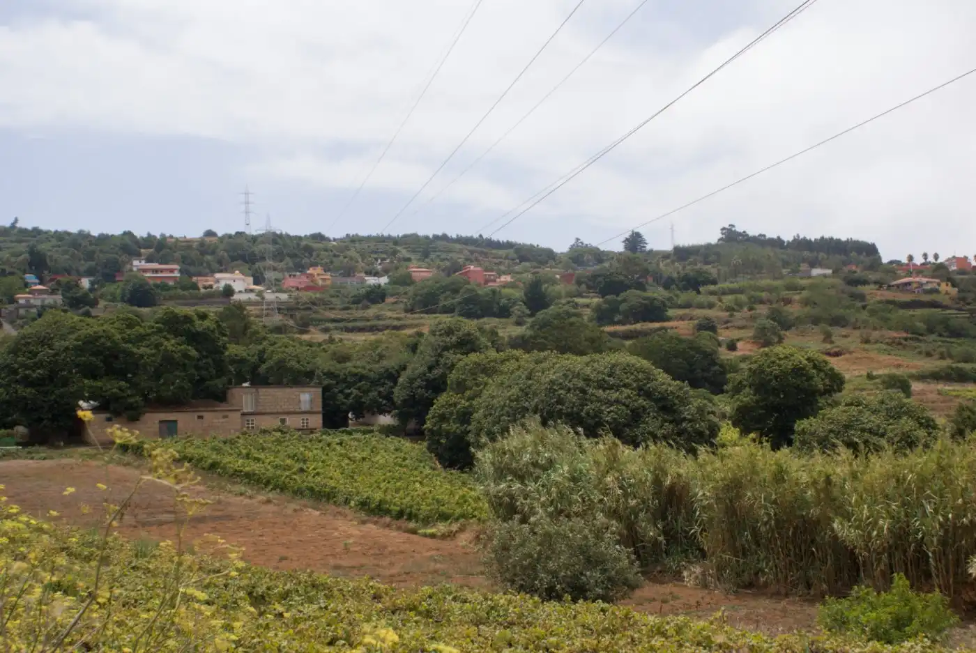 Terreny en venda en El Sauzal