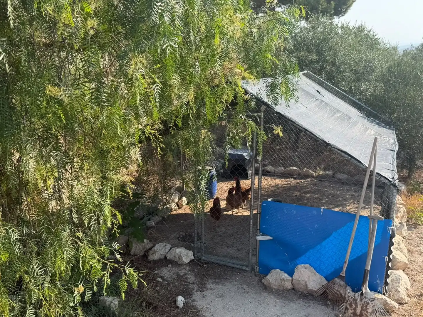 Jardín de Finca rústica en venta en Aspe
