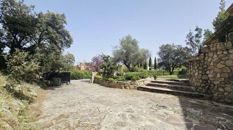 Foto 4 de Casa o xalet de lloguer a Parque, Santo Domingo, Algete