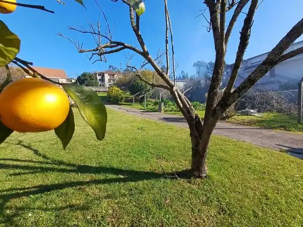 Wohnbaugrundstück zum Verkauf in Camiño Cereiro, imagen 5
