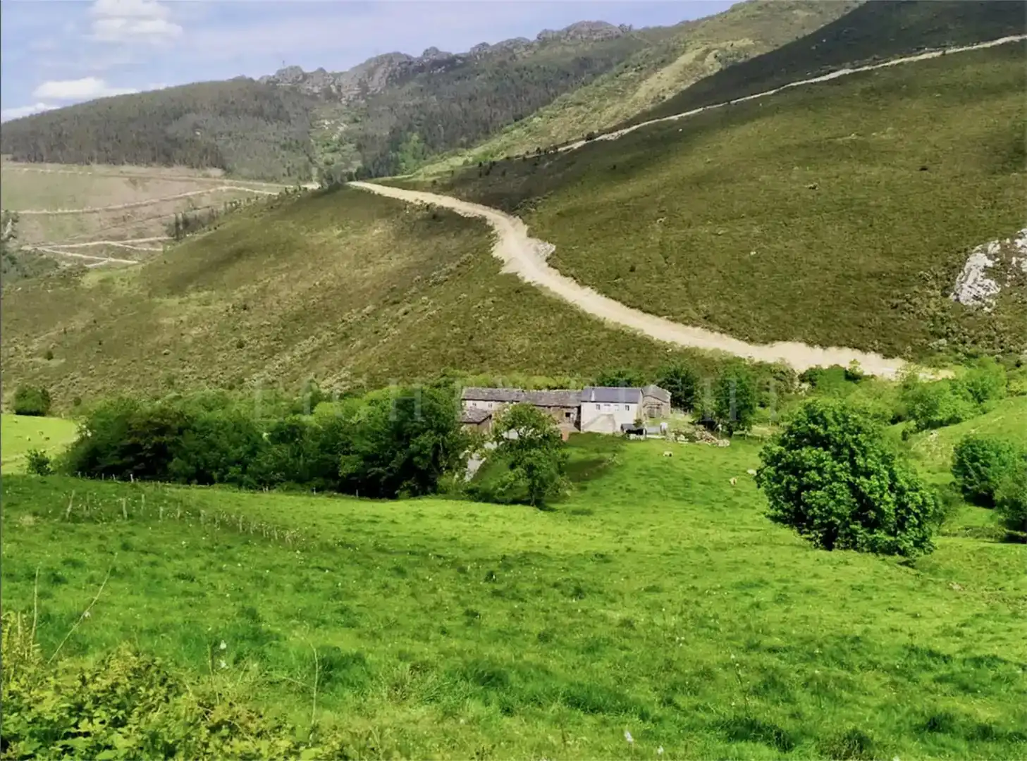Vista exterior de Finca rústica en venda en Villanueva de Oscos, Asturias