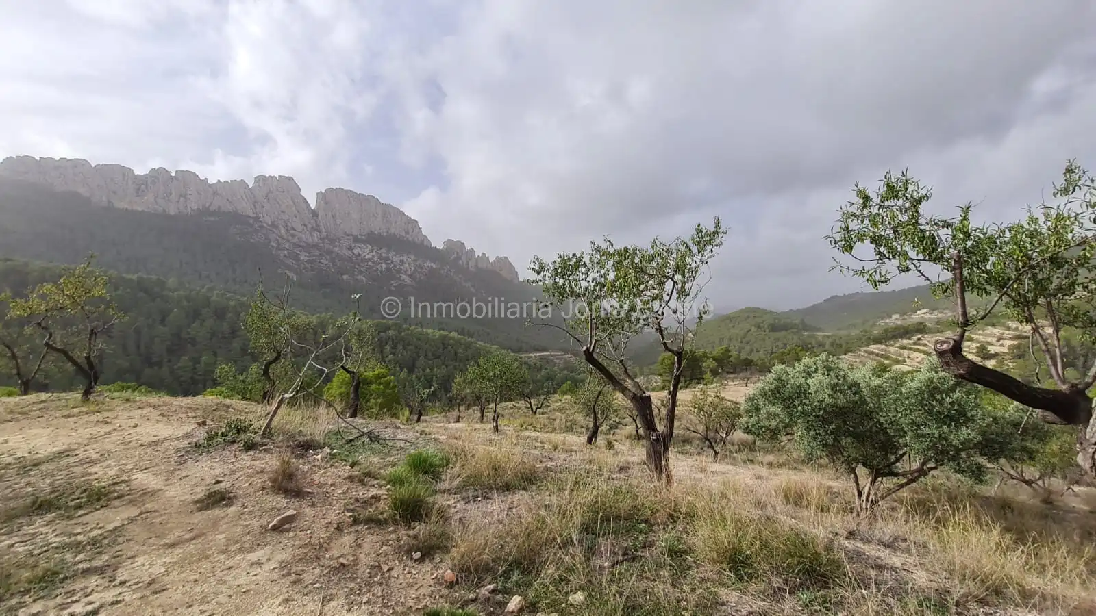 Casa o xalet en venda en Benimantell amb Terrassa