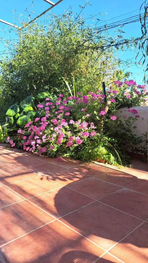 Jardí de Casa o xalet en venda en Calvià amb Aire condicionat, Calefacció i Terrassa