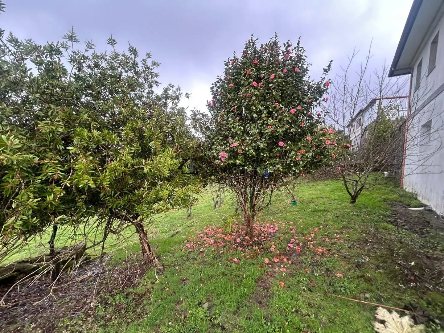 Casa o chalet en venta en Campo Lameiro