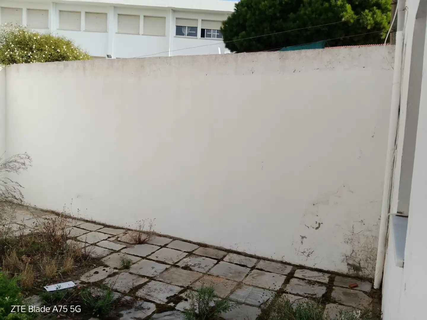 Casa o chalet en venta en San Roque