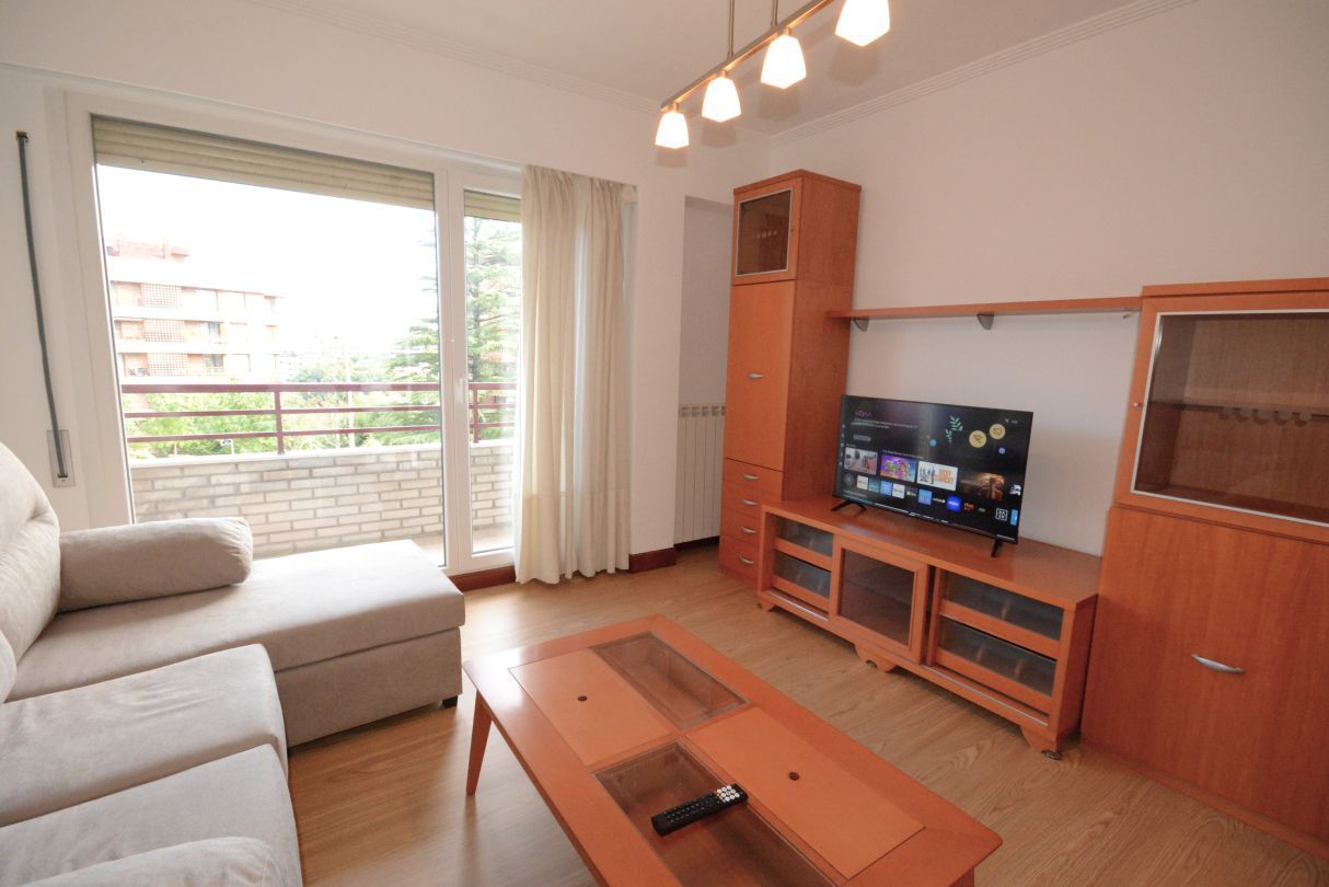 Living room of Flat to rent in Donostia - San Sebastián   with Heating, Private garden and Balcony