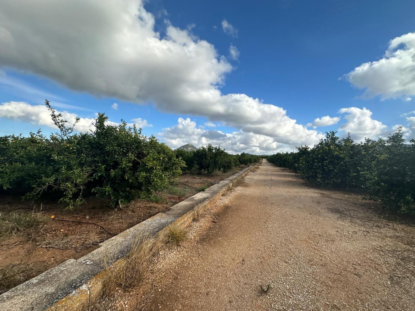 Residential for sale in Ondara