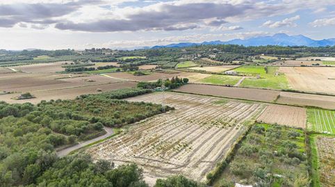 Atractivo terreno edificable entre Can Picafort y Muro  con vistas a la Sierra de Tramuntana  Obj, 9121, immagine 3