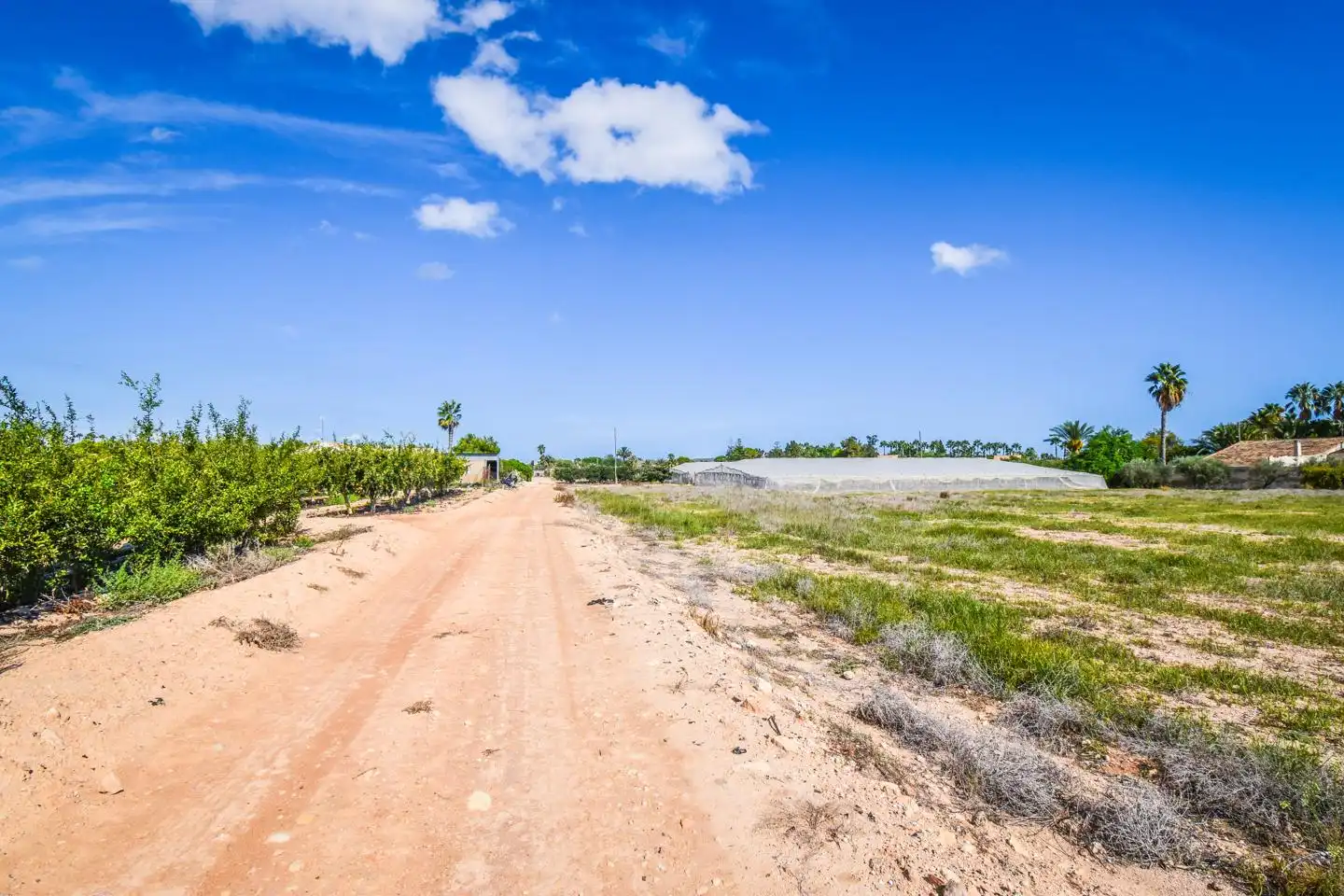 Terrain rustique à vendre à Elx - Santa Pola, imagen 9