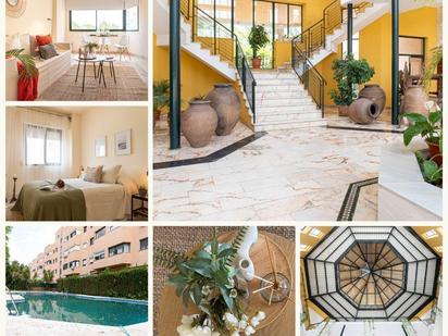 Vista exterior de Apartament en venda en  Sevilla Capital amb Jardí privat, Parquet i Piscina comunitària