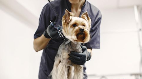 Foto 5 von Geschaftsraum zur Miete in Llevant, Tarragona Capital