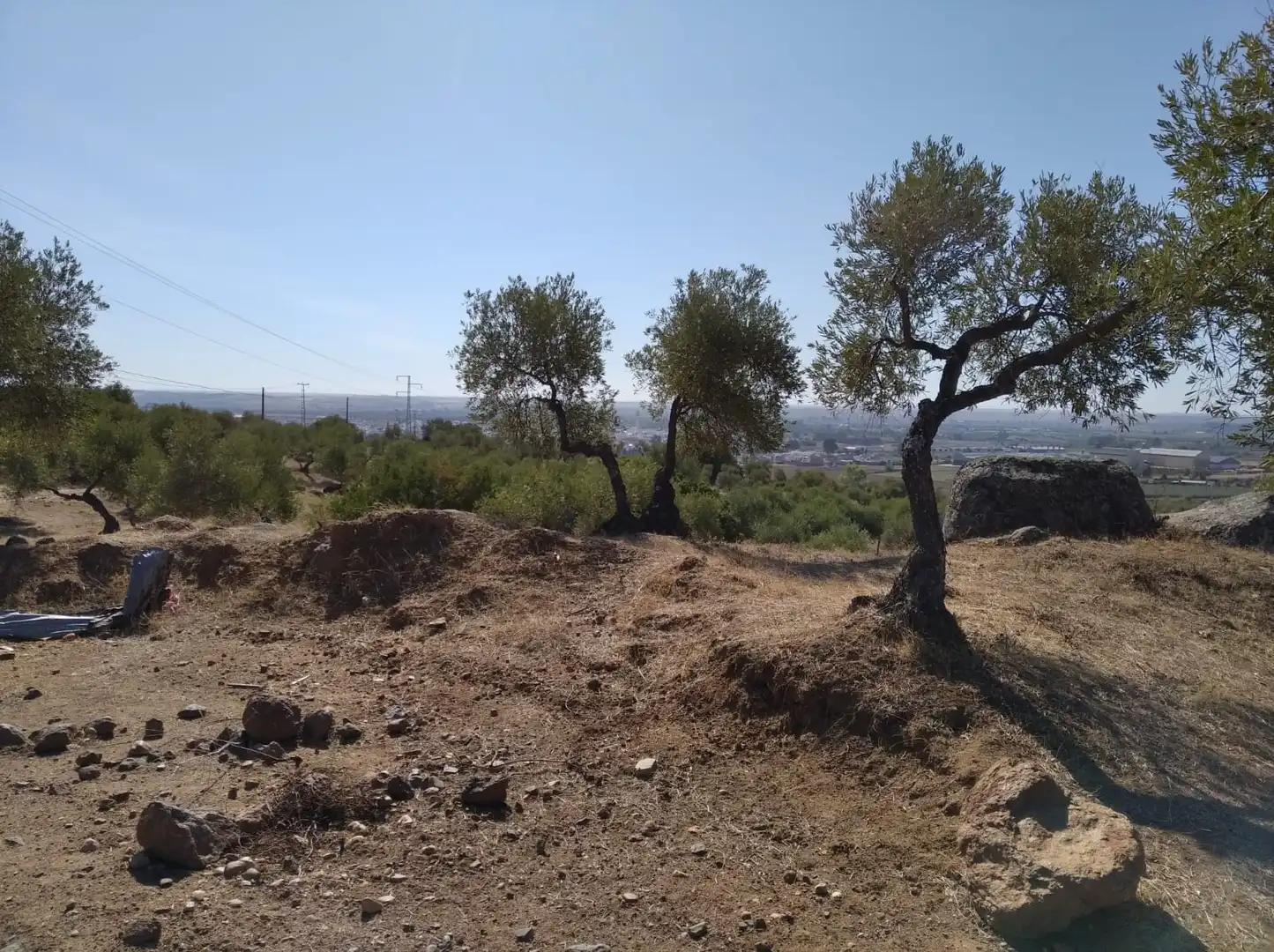 Land for sale in Calle Camino Sierra de la Cruz, 9, Lora del Río