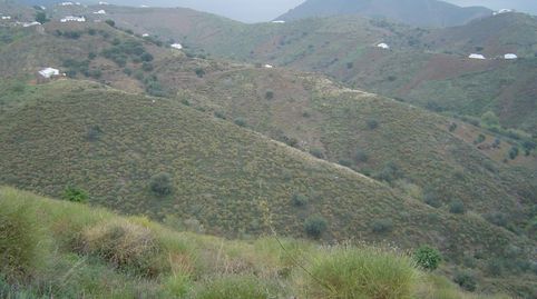Foto 4 von Haus oder Chalet zum Verkauf in Canillas de Aceituno, Málaga
