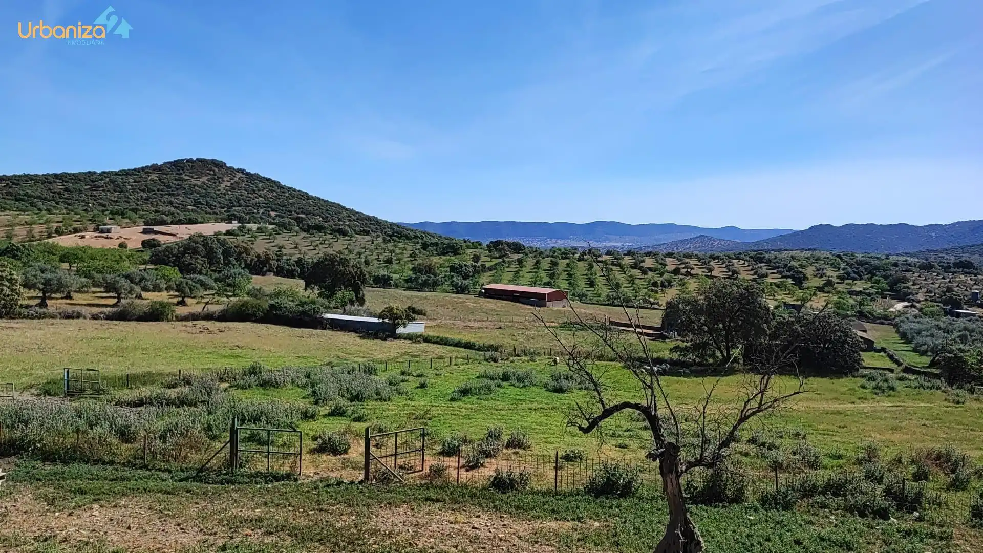 Land for sale in Salvaleón