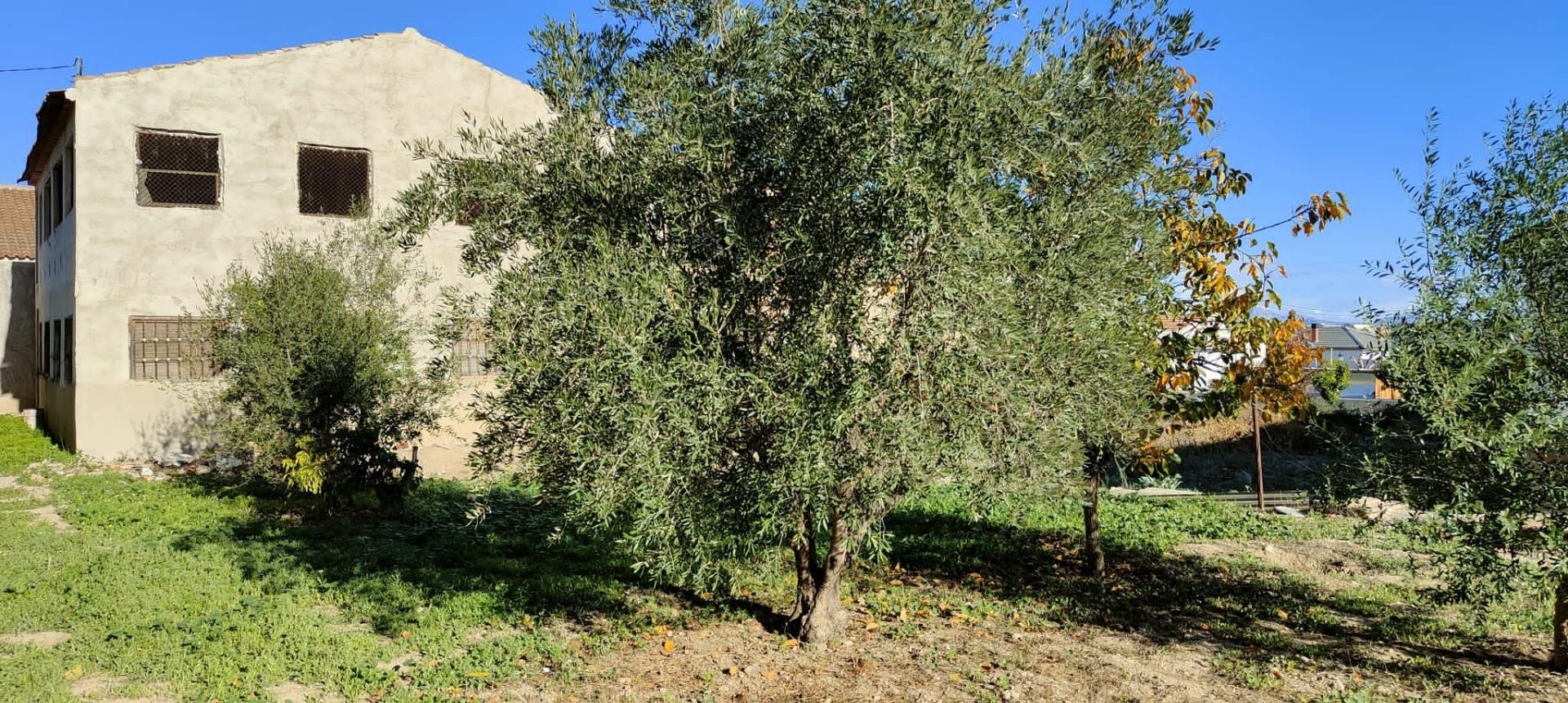 Jardí de Finca rústica en venda en Alguazas amb Terrassa, Traster i Balcó