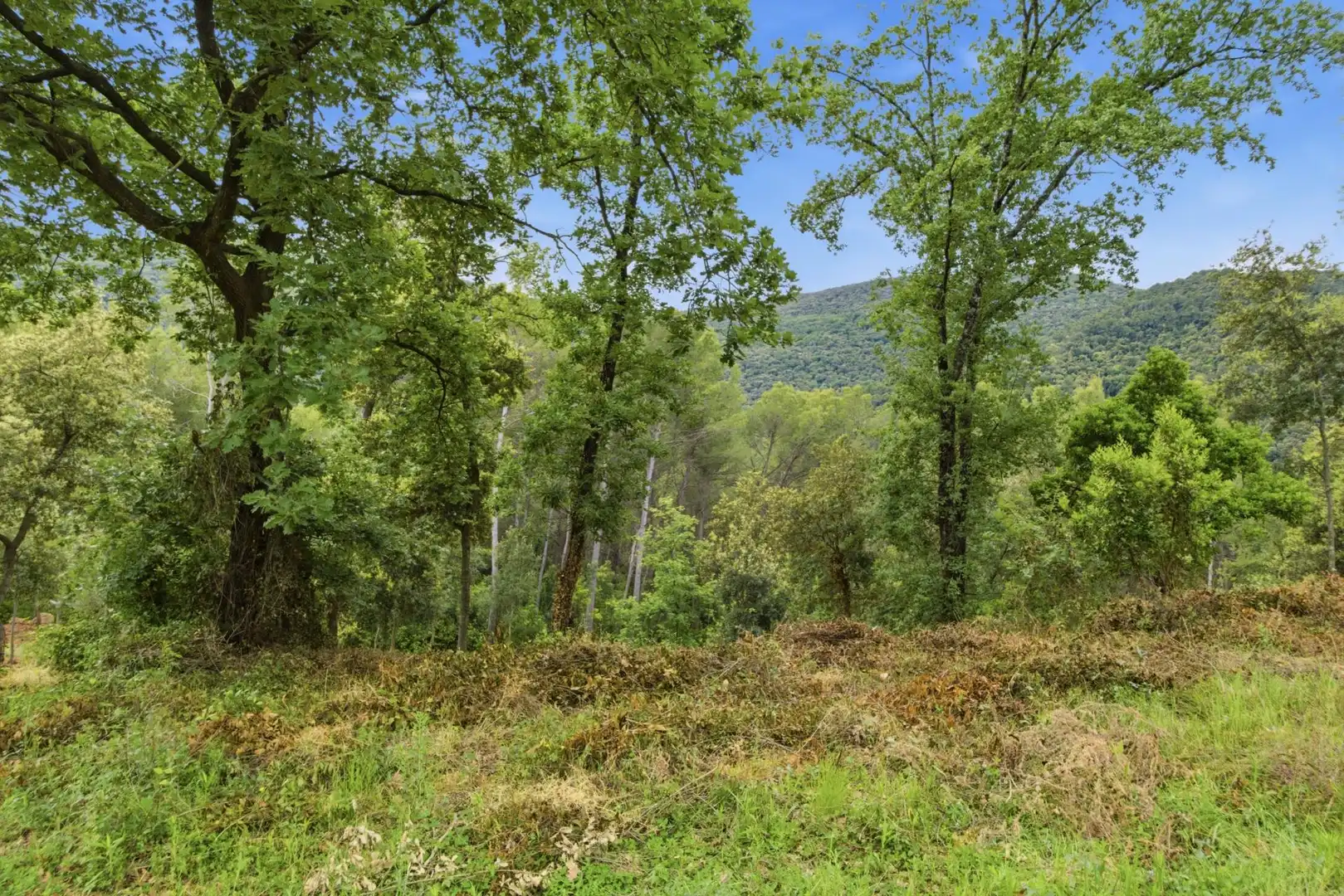 Residential land for sale in 120A,  Avinguda de Catalunya, imagen 17