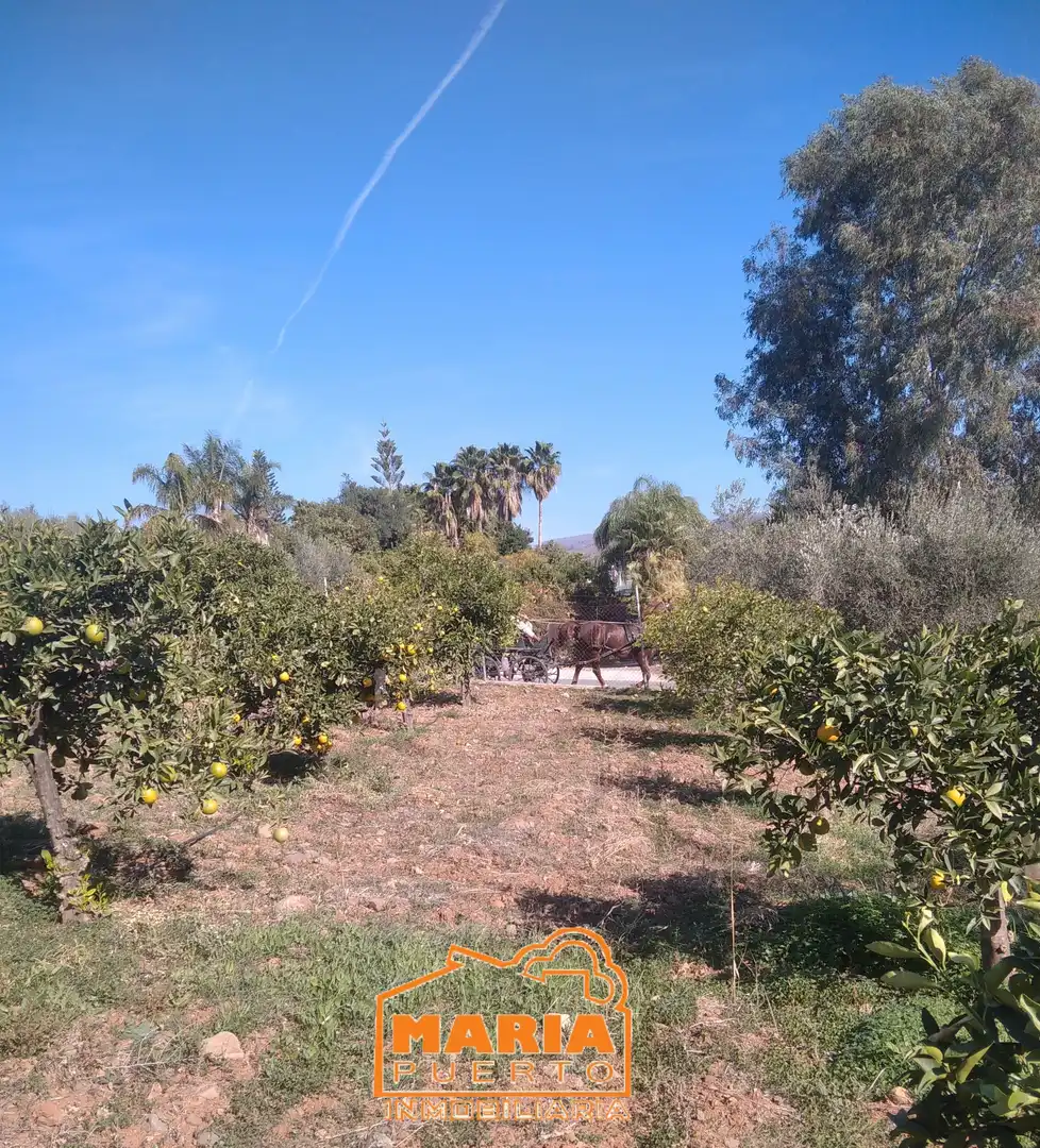 Terrenys i solars en venda a Campanillas