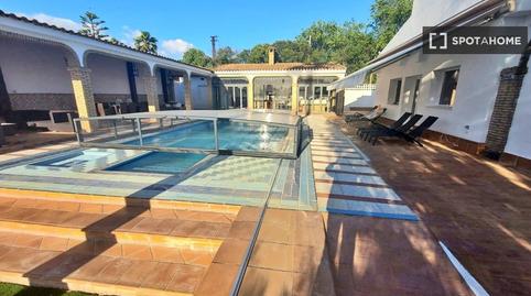 Photo 2 of Apartment to share in Sanlúcar la Mayor, Sevilla