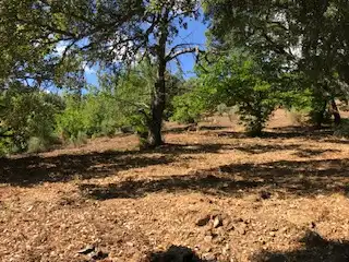 Terreni e lotti in vendita a Cortegana, imagen 13