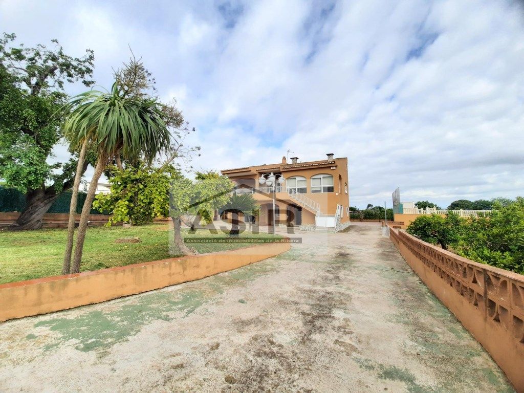 Vista exterior de Casa o xalet en venda en Alzira amb Aire condicionat, Terrassa i Piscina