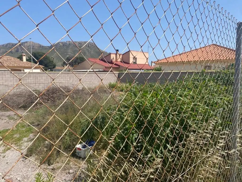 Terreno residencial en venta en Calabardina, imagen 5