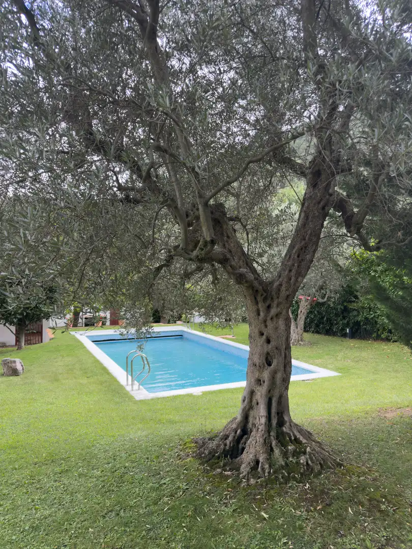 Xalet amb piscina en venda a Arnedillo, imagen 54