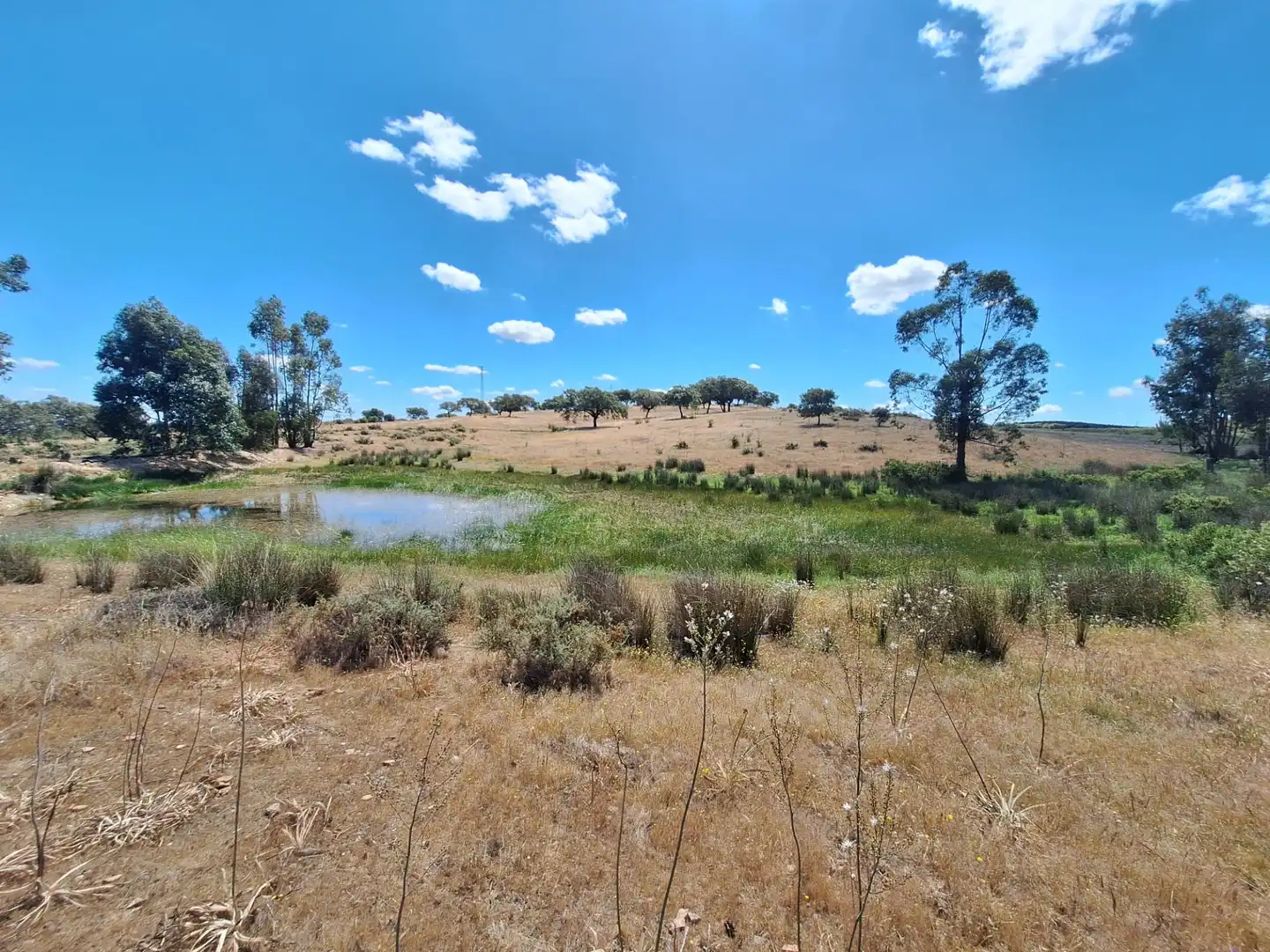 Terreno en venta en Calle Colon, 15, Tharsis