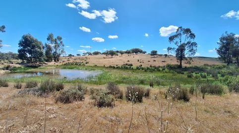Photo 4 of Land for sale in Calle Colon, 15, Tharsis, Alosno