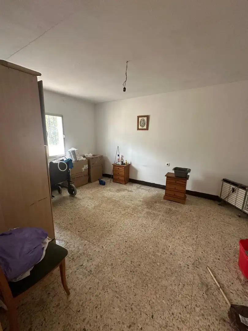 Sala d'estar de Finca rústica en venda en Conil de la Frontera