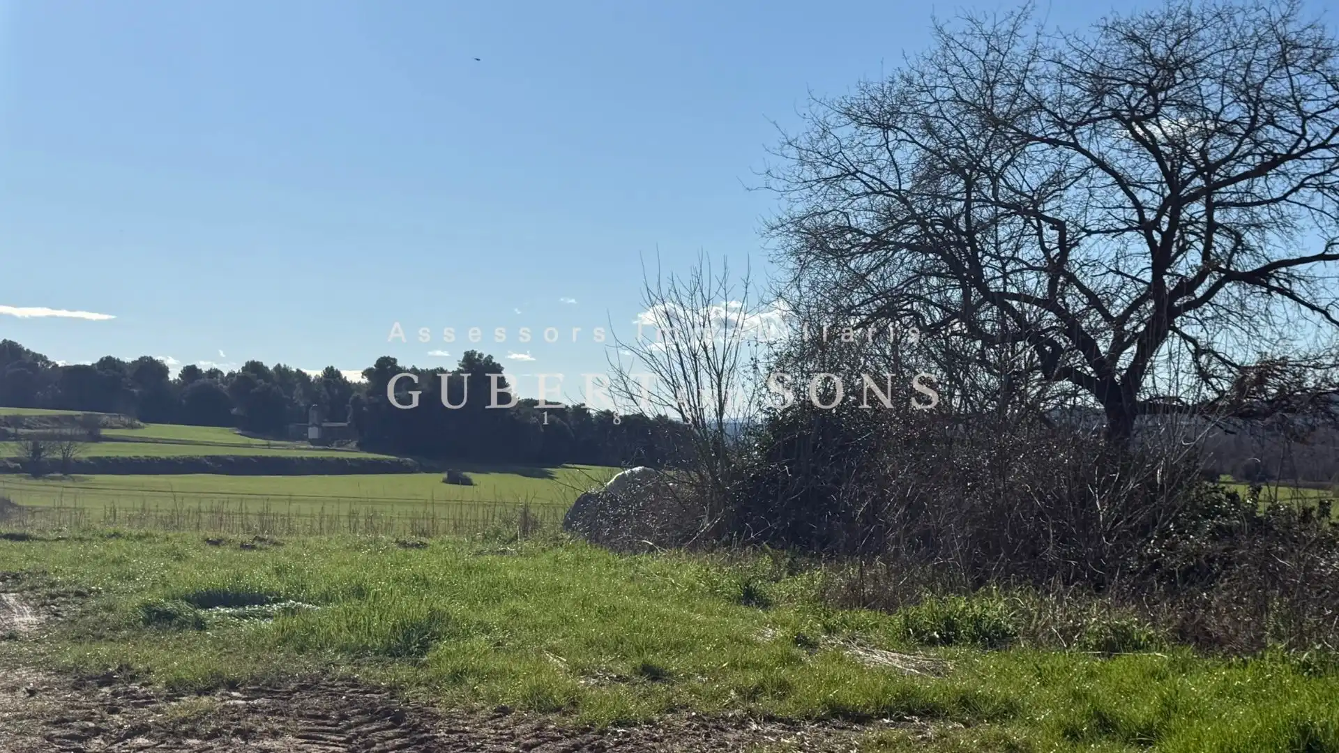 Country homes for sale in Sant Gregori
