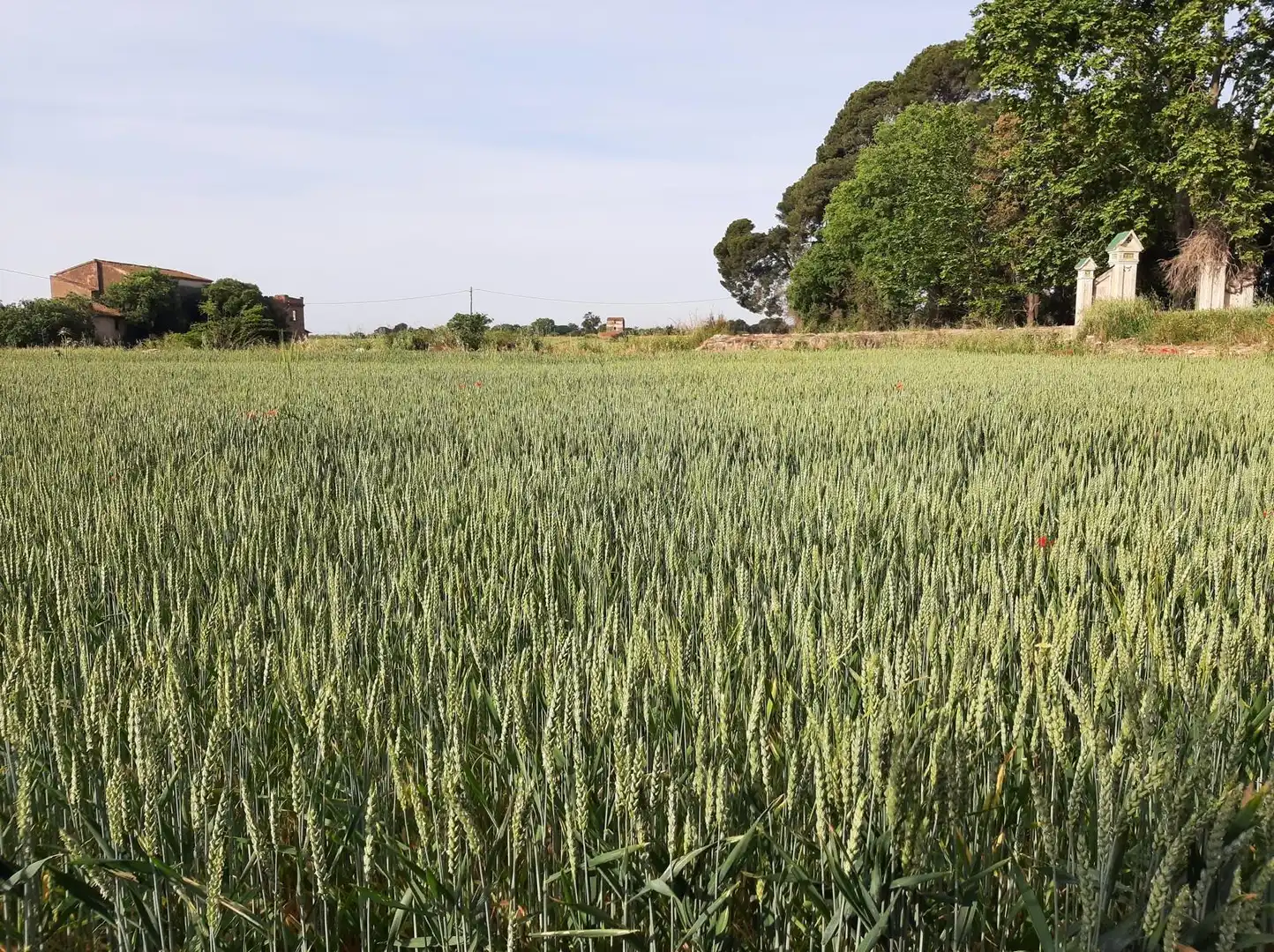 Finca rústica en venda en Reus