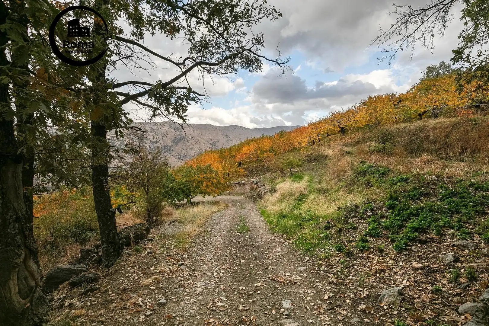 Lands and plots for sale in Güéjar Sierra, imagen 5
