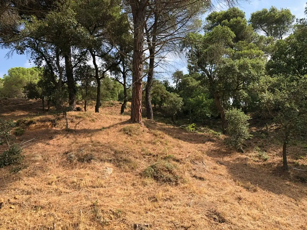 Residencial en venta en Carrer Muntanya, Niàgara Parc - Ágora Parc