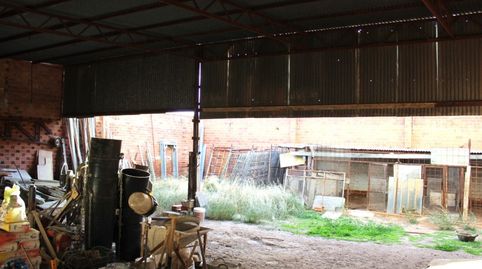 Terreno Urbano en Venta en  Tomelloso, Ciudad Real, imatge 5