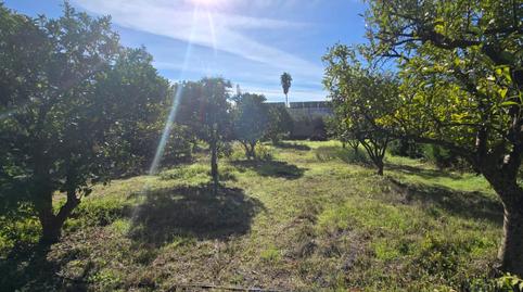 Photo 5 of Residential for sale in Urbanizacion Urbanización Pulpejas I , Loreto, Sevilla