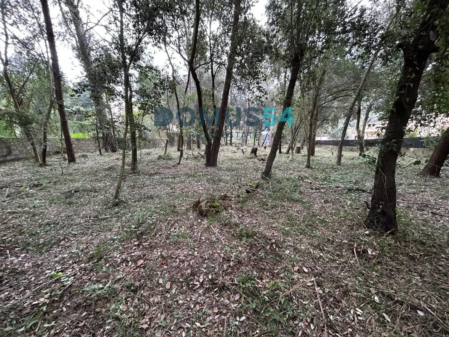 Rural land for sale in Sa Pobla, imagen 8