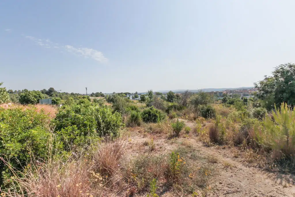 Rural land for sale in C/ Manuel de Pedrolo, imagen 14