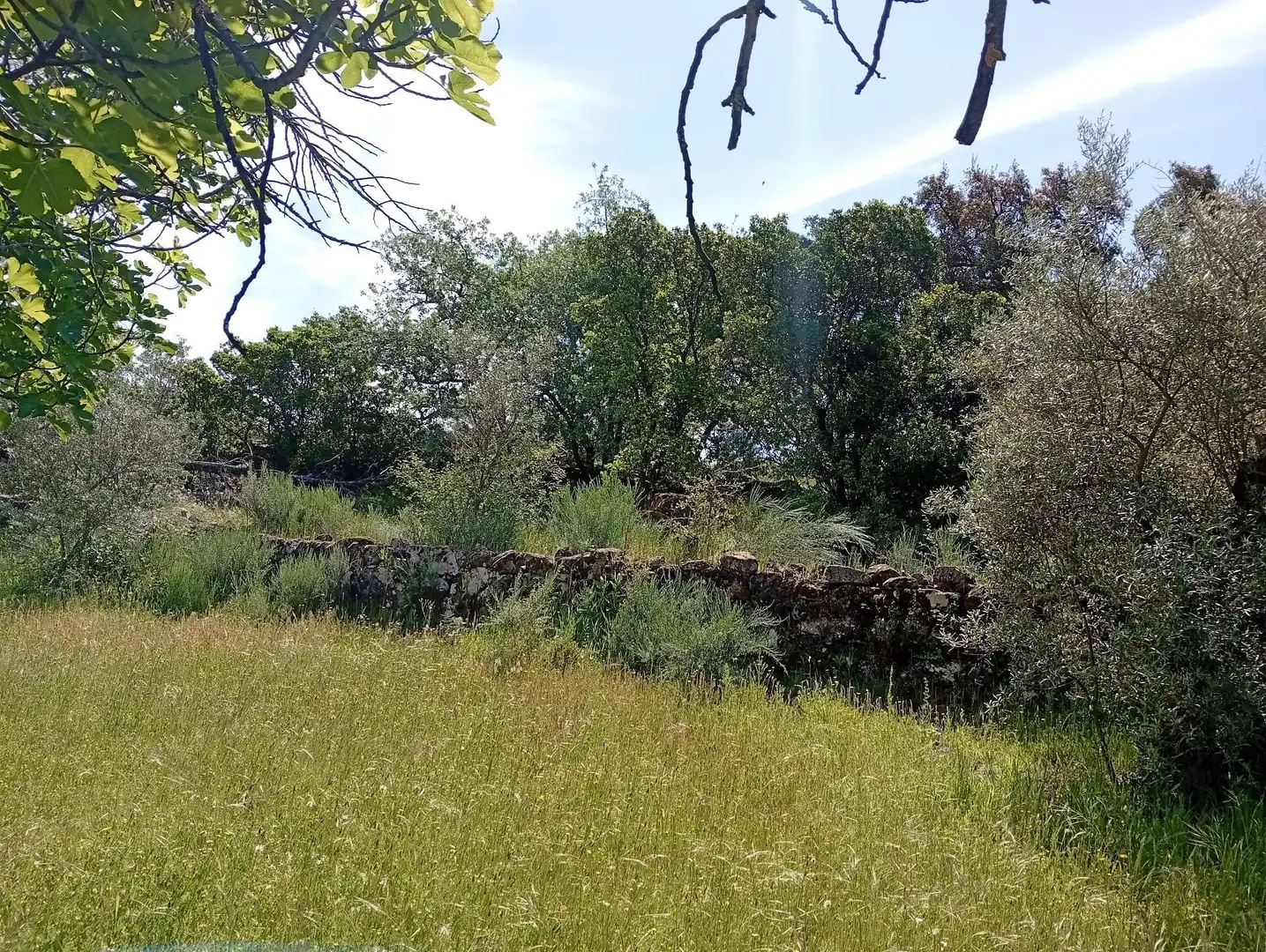 Terreni e lotti in vendita a Villanueva de la Vera, imagen 68