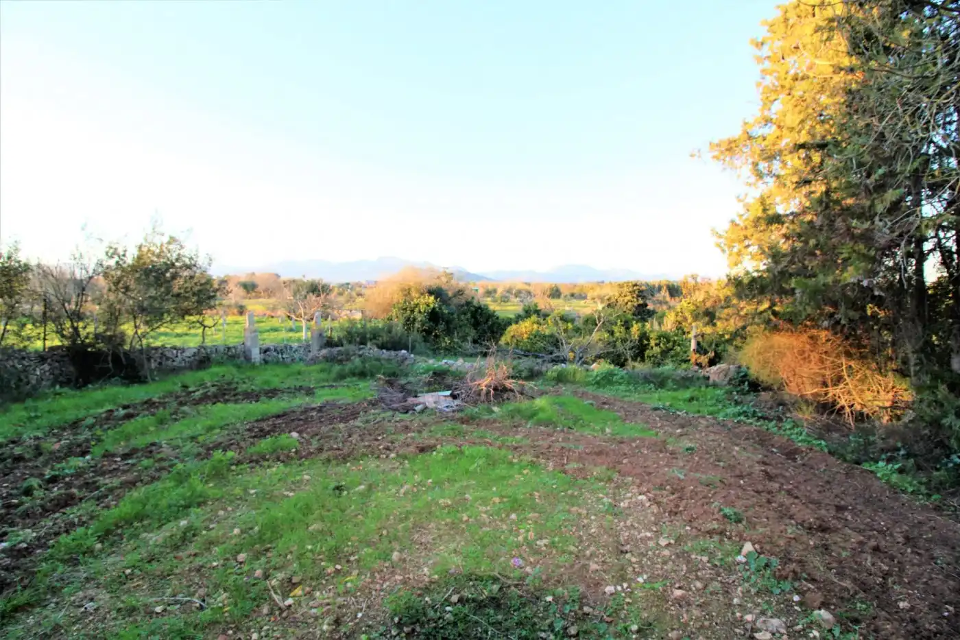 Casa rústica con piscina en venta en Llubí, imagen 34
