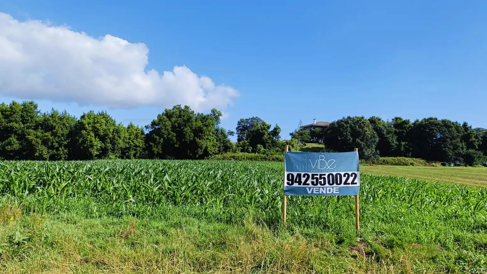 Terreni e lotti in vendita a Gajano - CARRETERA 141, GAJANO, imagen 10