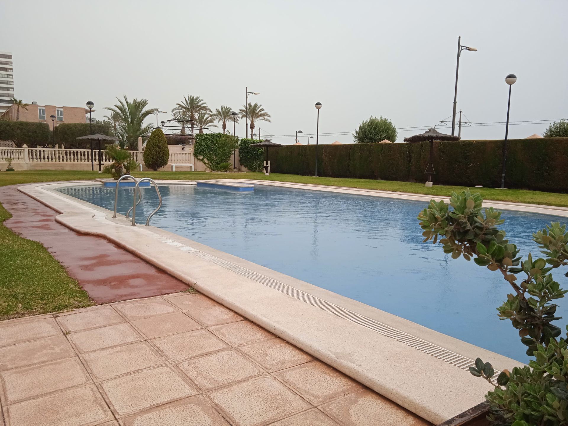 Swimming pool of Flat to rent in El Campello  with Private garden, Terrace and Furnished