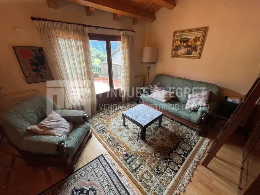 Sala d'estar de Casa o xalet en venda en Conca de Dalt