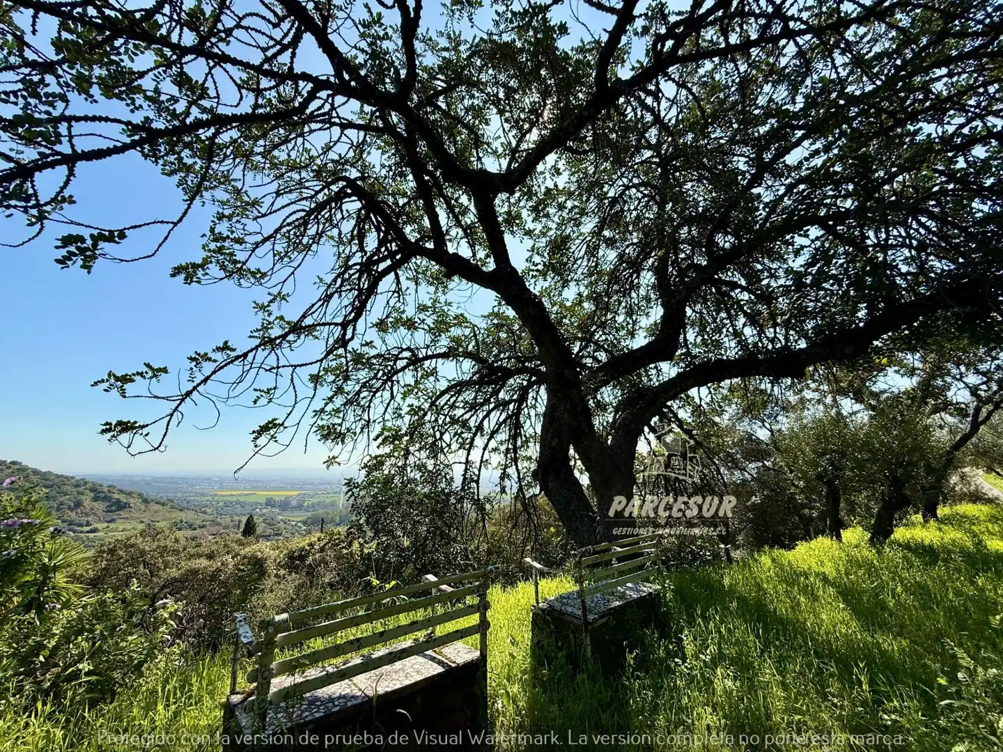 Vista exterior de Finca rústica en venda en Córdoba amb Jardí privat i Traster