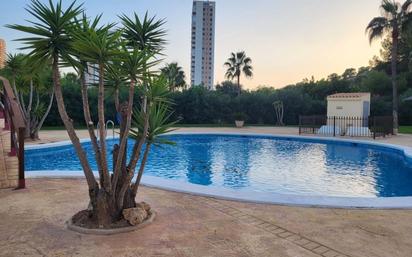 Swimming pool of Flat for sale in Benidorm  with Terrace, Swimming Pool and Balcony