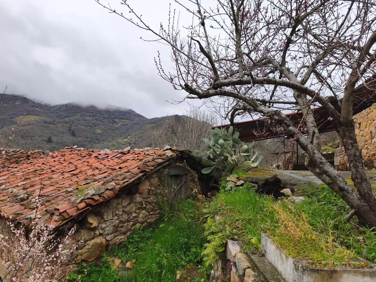 Vista exterior de Casa o chalet en venta en Proaza con Piscina