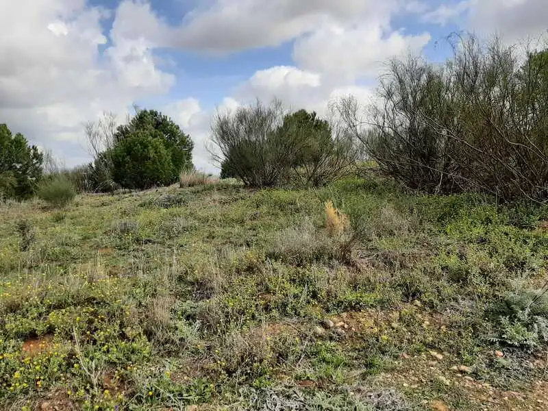 Terreni e lotti in vendita a GOLF DEL GUADIANA, imagen 15